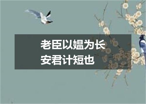 老臣以媪为长安君计短也