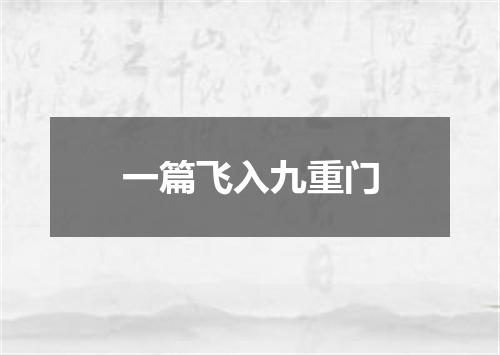 一篇飞入九重门