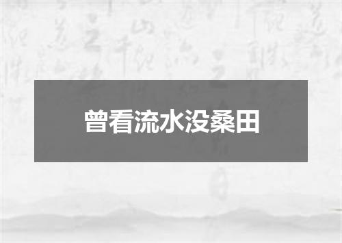 曾看流水没桑田