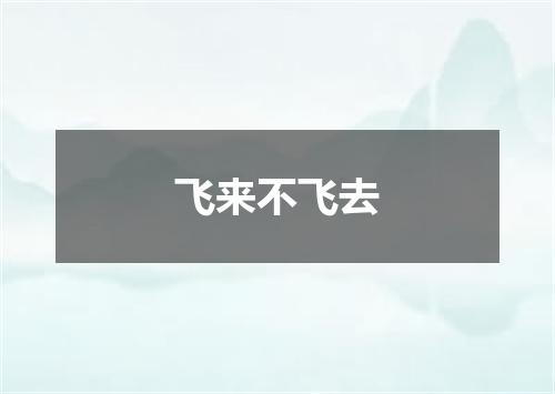 飞来不飞去