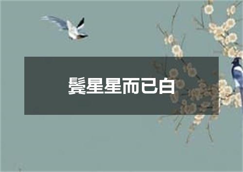 鬓星星而已白
