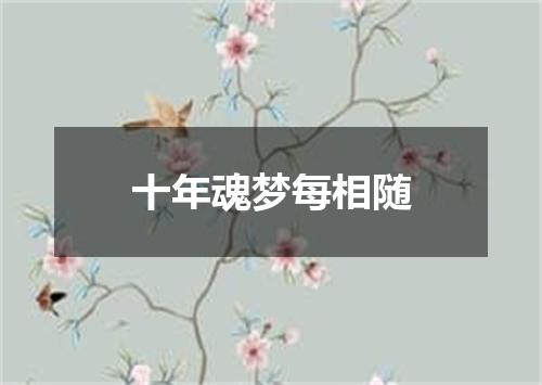 十年魂梦每相随