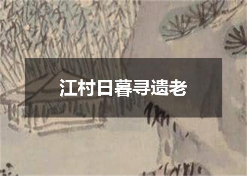 江村日暮寻遗老