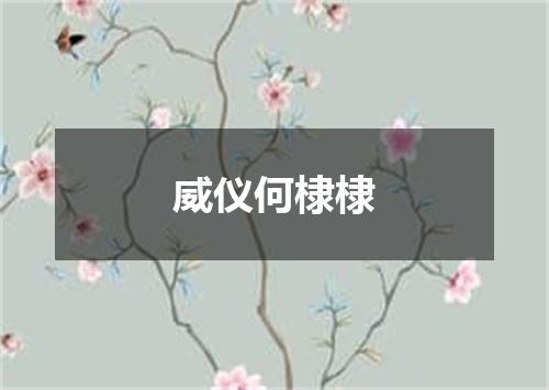 威仪何棣棣