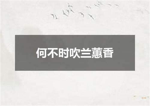 何不时吹兰蕙香
