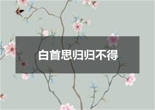 白首思归归不得