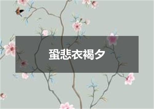 蛩悲衣褐夕