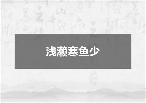 浅濑寒鱼少