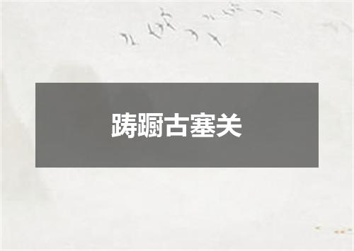 踌蹰古塞关