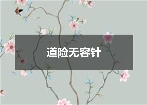 道险无容针