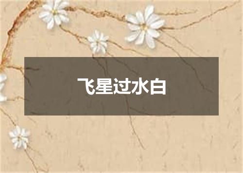 飞星过水白