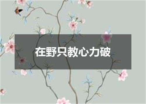 在野只教心力破