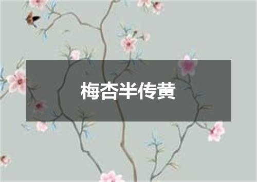 梅杏半传黄