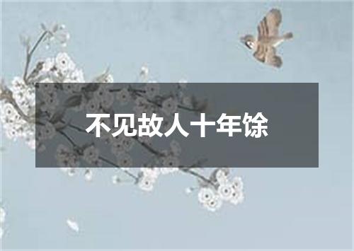 不见故人十年馀