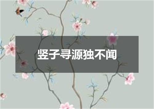 竖子寻源独不闻
