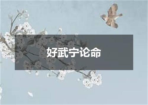 好武宁论命