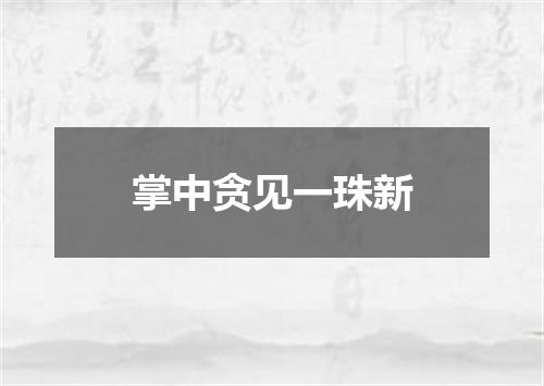 掌中贪见一珠新