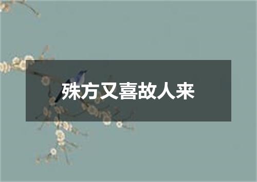 殊方又喜故人来