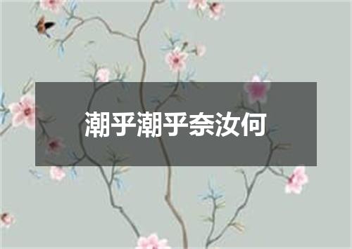潮乎潮乎奈汝何