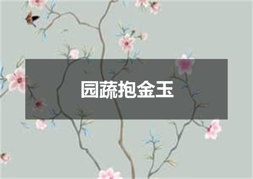 园蔬抱金玉