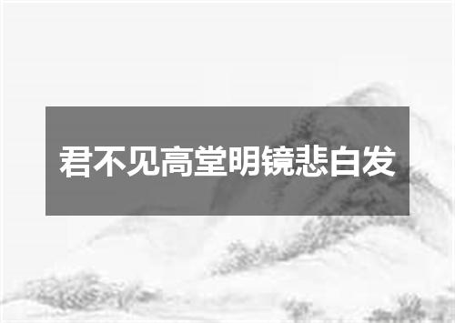 君不见高堂明镜悲白发