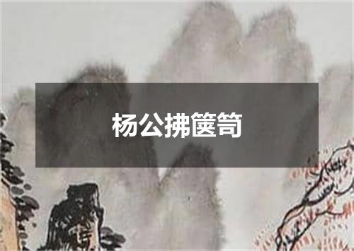 杨公拂箧笥