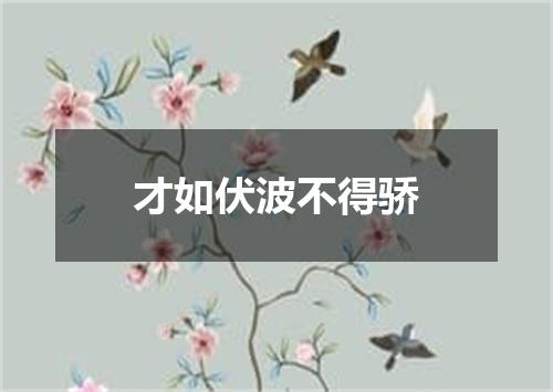 才如伏波不得骄