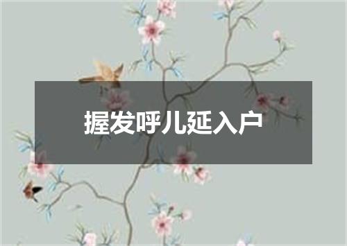 握发呼儿延入户