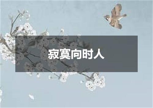 寂寞向时人