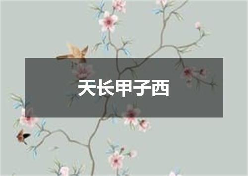 天长甲子西