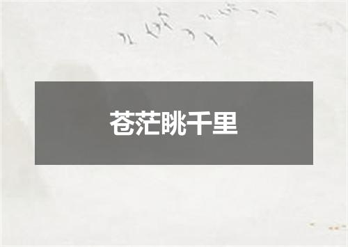 苍茫眺千里