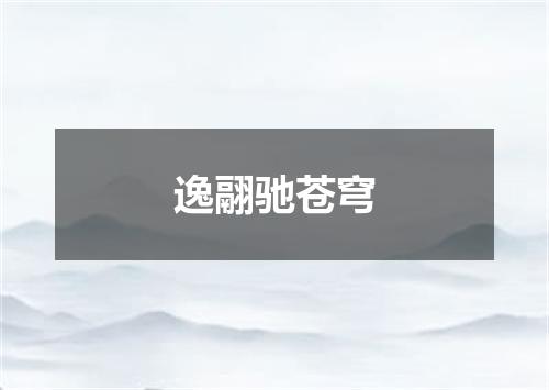逸翮驰苍穹