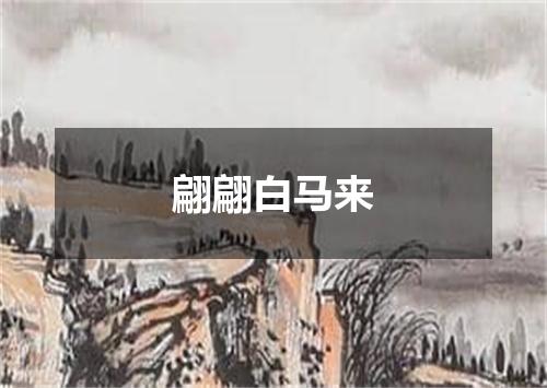 翩翩白马来