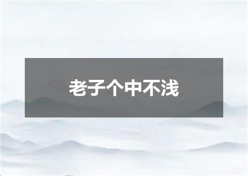 老子个中不浅