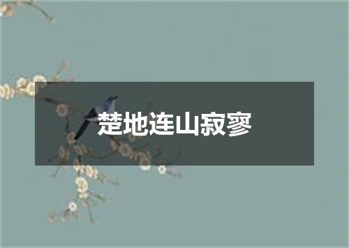 楚地连山寂寥
