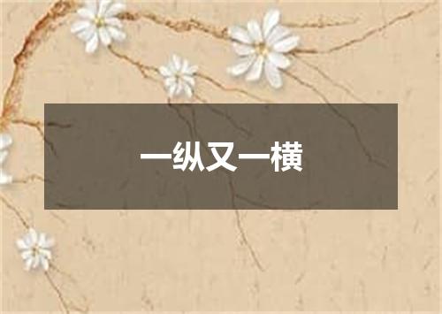 一纵又一横