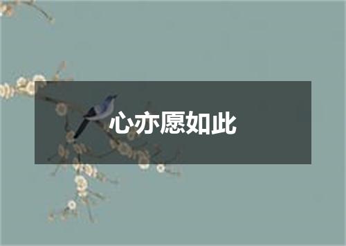 心亦愿如此