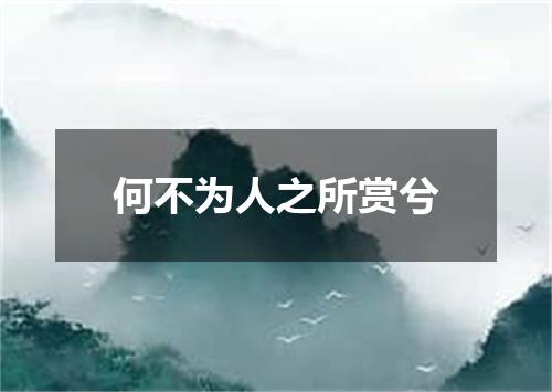 何不为人之所赏兮