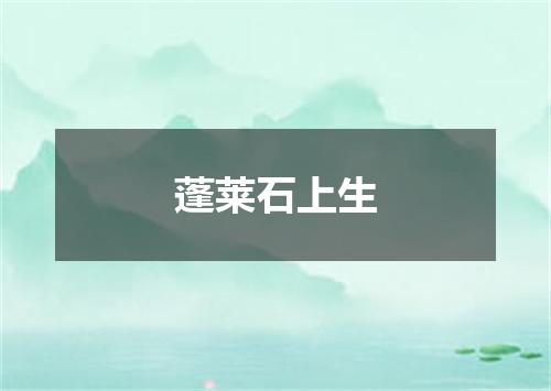 蓬莱石上生