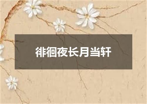徘徊夜长月当轩