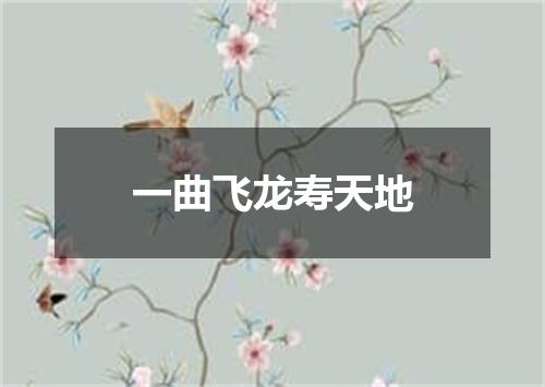 一曲飞龙寿天地