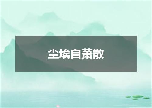 尘埃自萧散