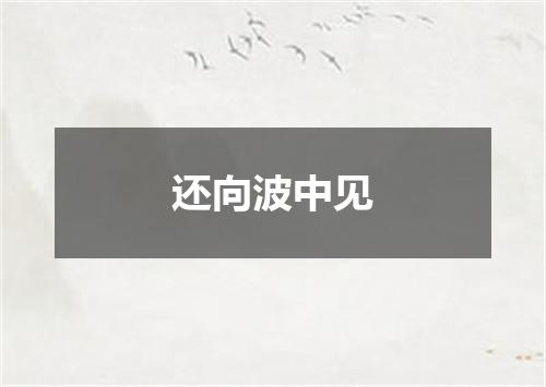 还向波中见