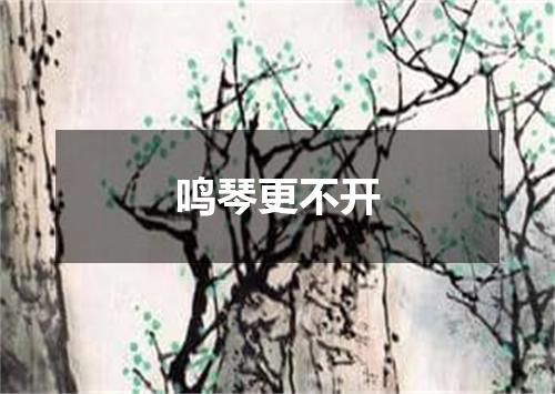 鸣琴更不开