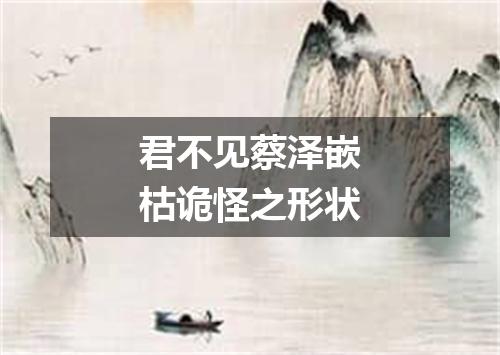 君不见蔡泽嵌枯诡怪之形状