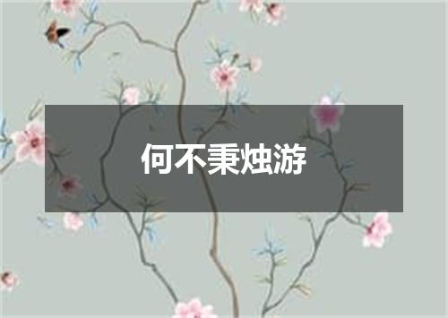 何不秉烛游