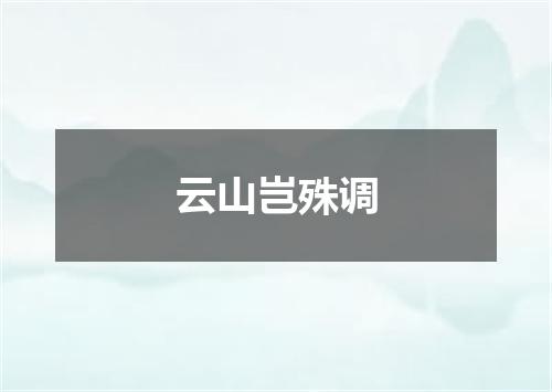 云山岂殊调