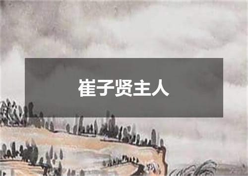 崔子贤主人