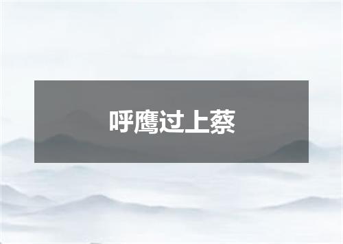 呼鹰过上蔡