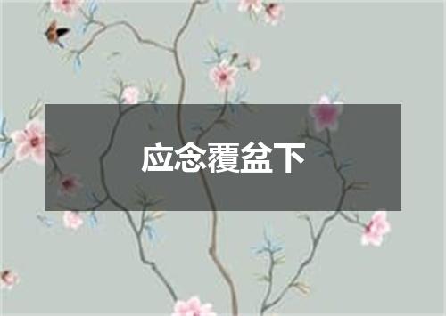 应念覆盆下